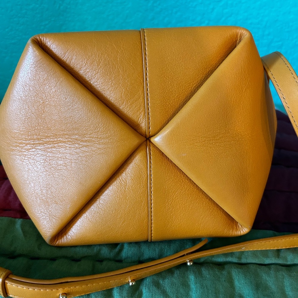 Mini Tulipano Mansur Gavriel Mango - Picture 6 of 9